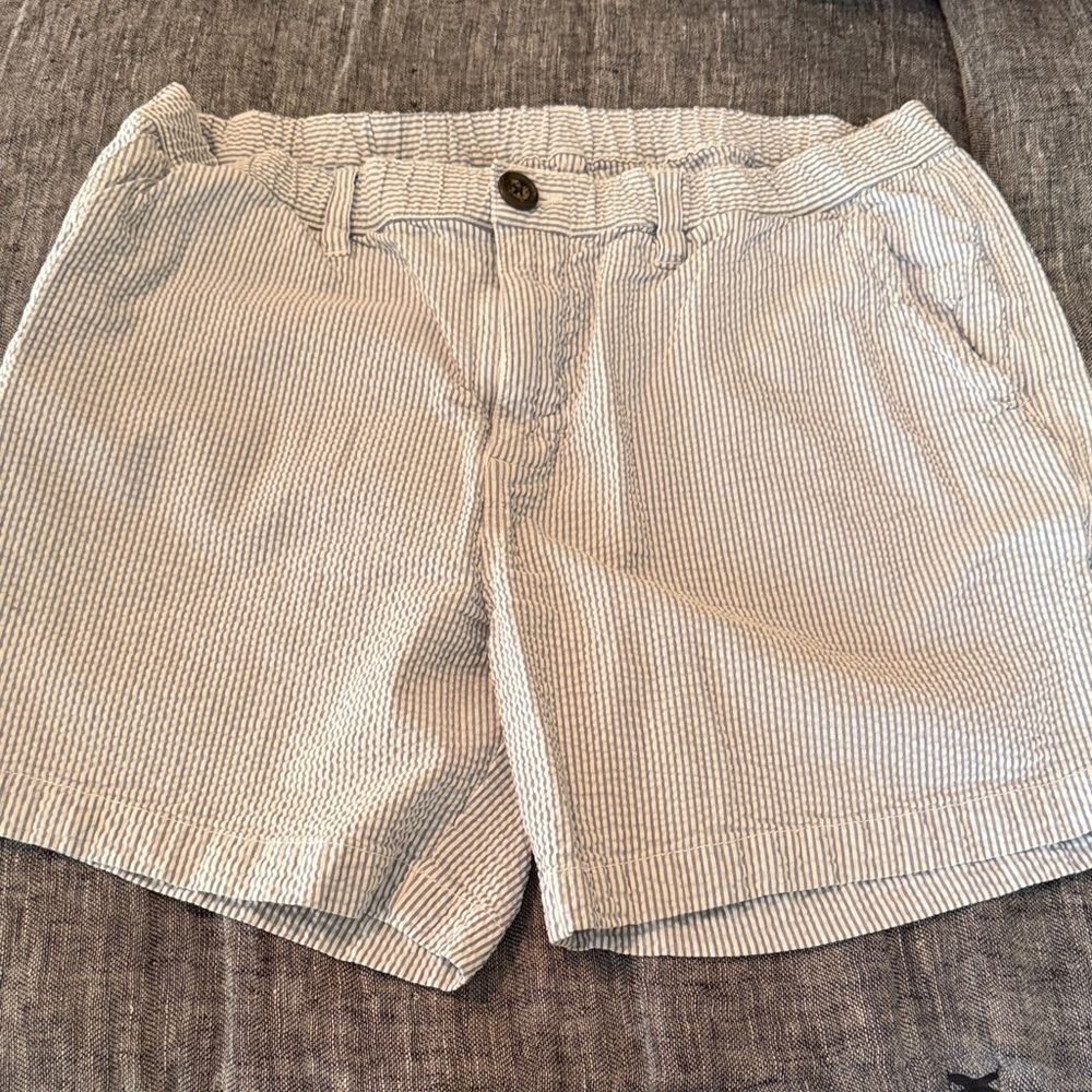 Chubbies Men's Blue and White Striped Shorts